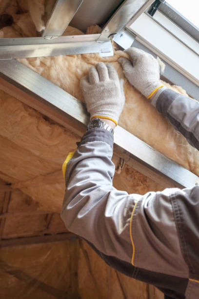 Best Insulation Maintenance and Repair in University Park, TX