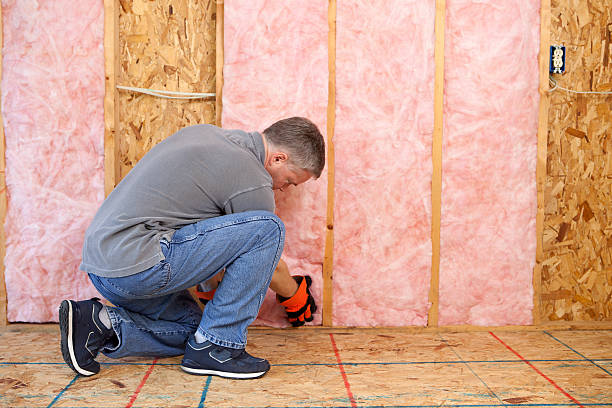 Best Cellulose Insulation in University Park, TX