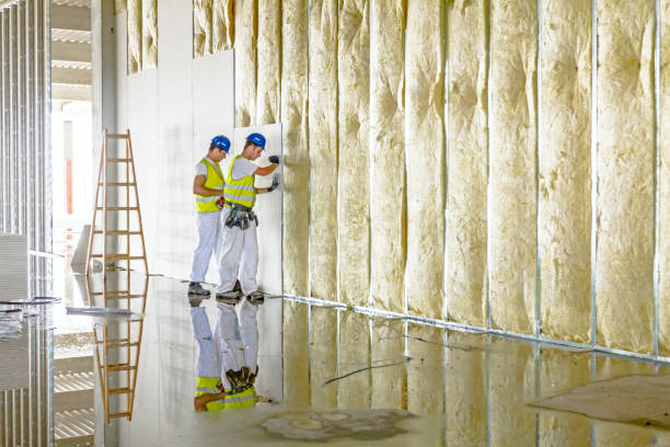 Best Residential Insulation in University Park, TX
